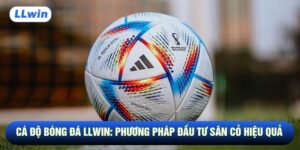 Cá Độ Bóng Đá LLwin: Phương Pháp Đầu Tư Sân Cỏ Hiệu Quả