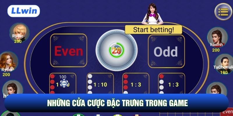 Những cửa cược đặc trưng trong game